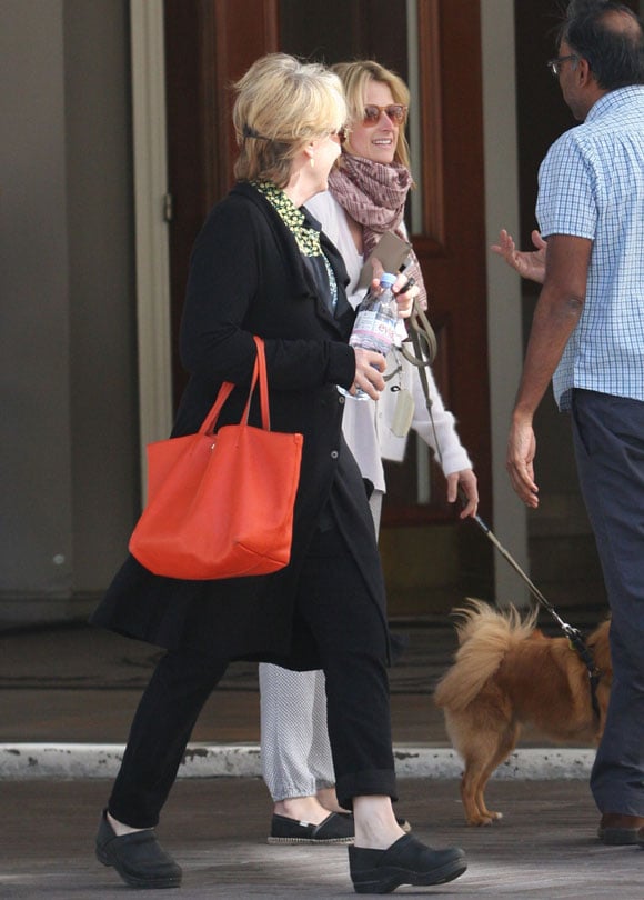 ¡Madre no hay más que una! Meryl Streep hace reir a su hija, Mamie Gummer, tras su divorcio 