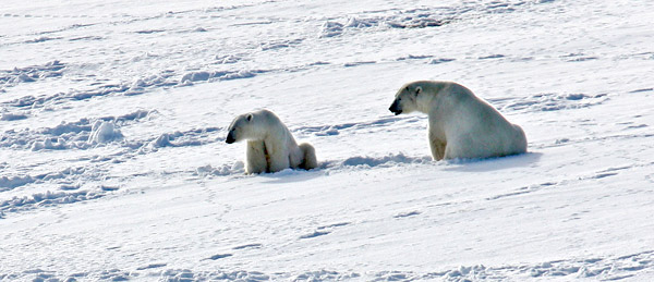 Hurtigruten Noruega