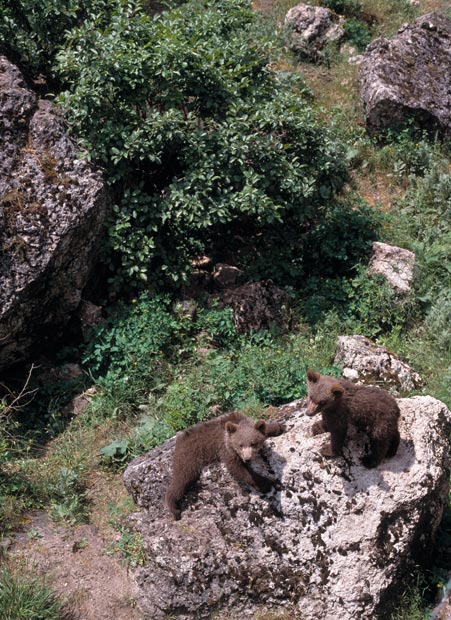 Cuenca El Hosquillo