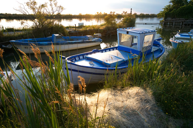 La Camargue Francia