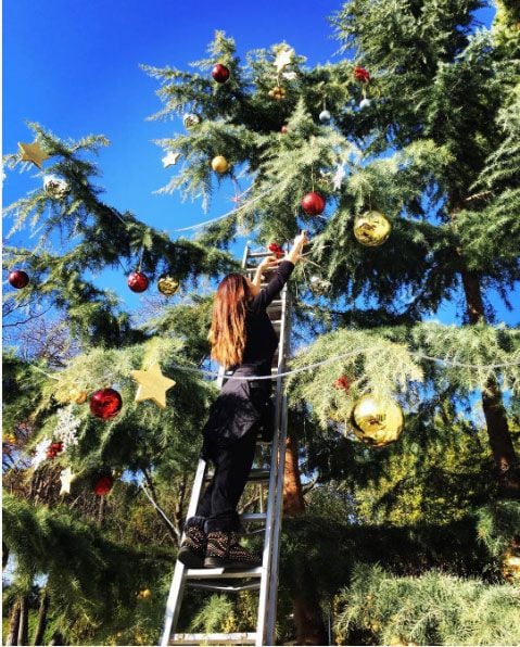 Necesitas ideas para decorar tu árbol de navidad? repasamos los ...