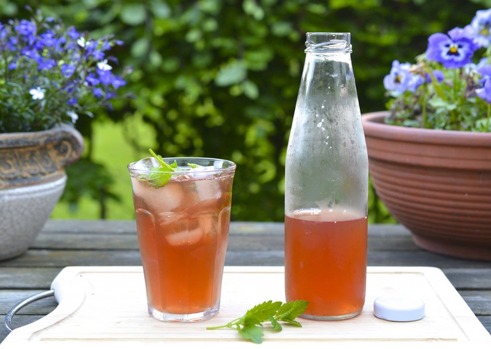 Té kombucha la bebida detox que adelgaza y embellece tu piel