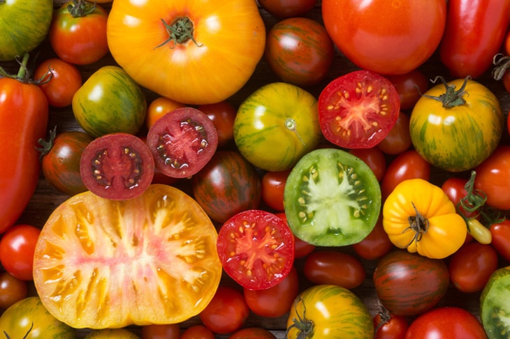 variedades-tomate