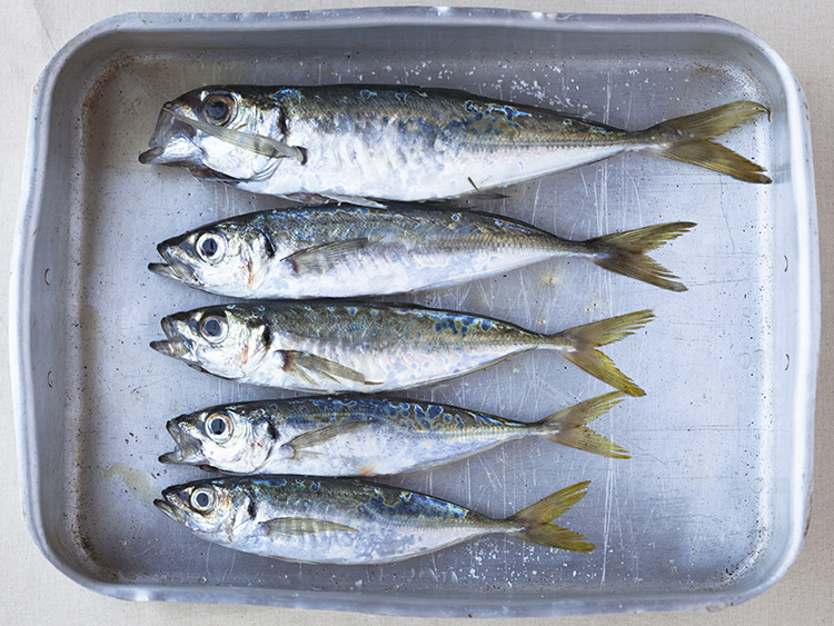 sardinas-xouvas-parrochas-01