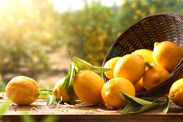 cesta-limones