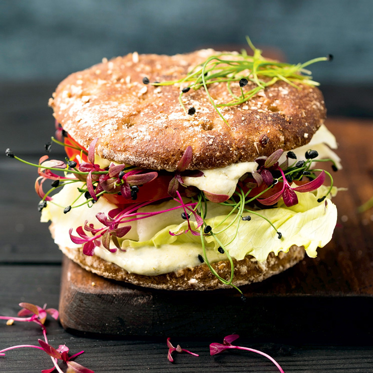 hamburguesa-vegana-integral-ensalada