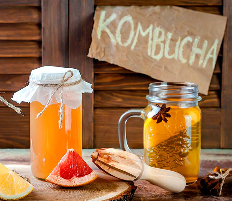 kombucha-adobe