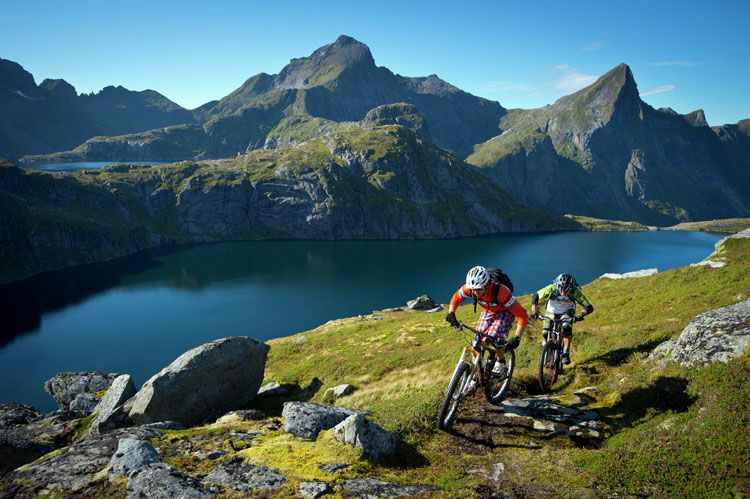 Lofoten-Bustamante