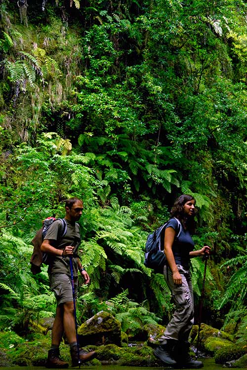 Madeira-Ribeiro-Bonito_Sao-Jorge_Santana