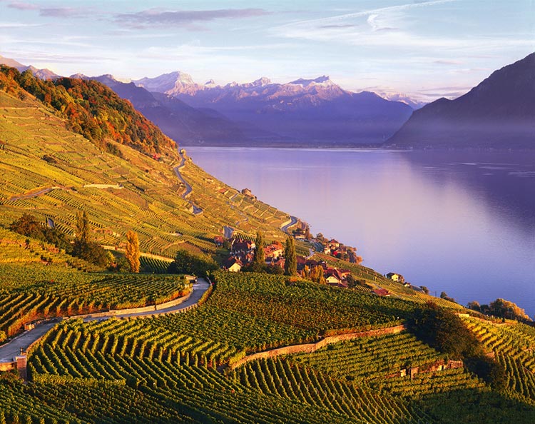 Lavaux-Dezaley-suiza