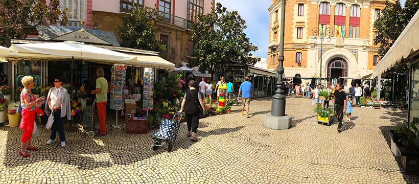 Plaza-de-las-Flores---cadiz