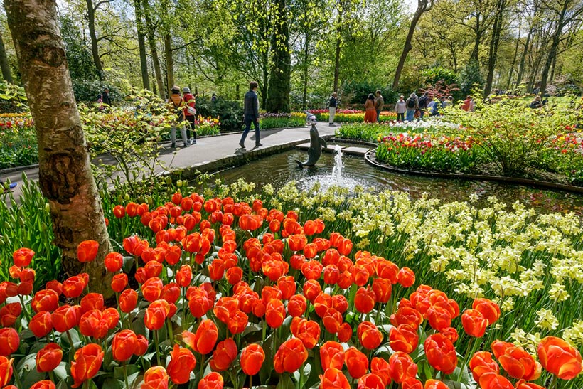 Keukenhof-holanda-jardines-7