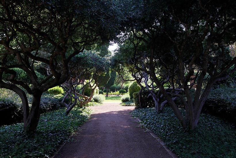 Jardines-marivent-mallorca-bosque