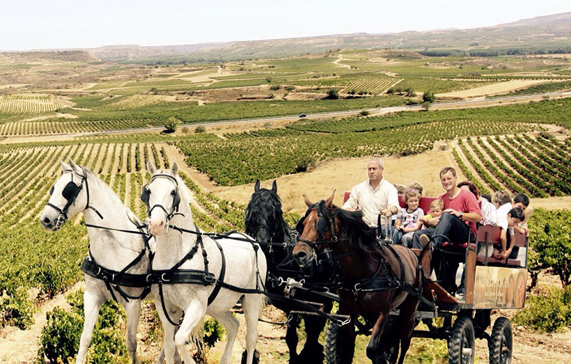 carro-de-caballos-vinedo-la-rioja