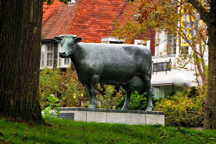 Leeuwarden-Monumento-a-la-Vaca-Frisona