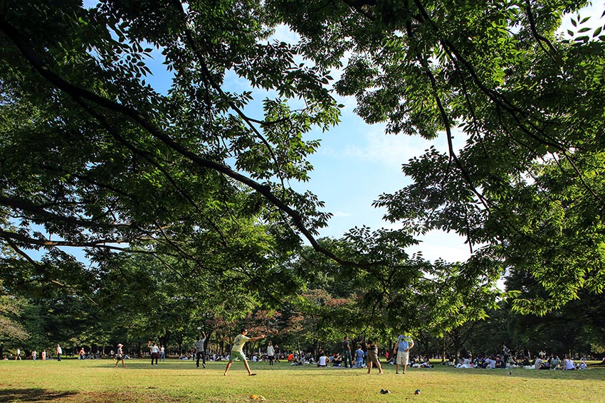 tokio parque Yoyogii