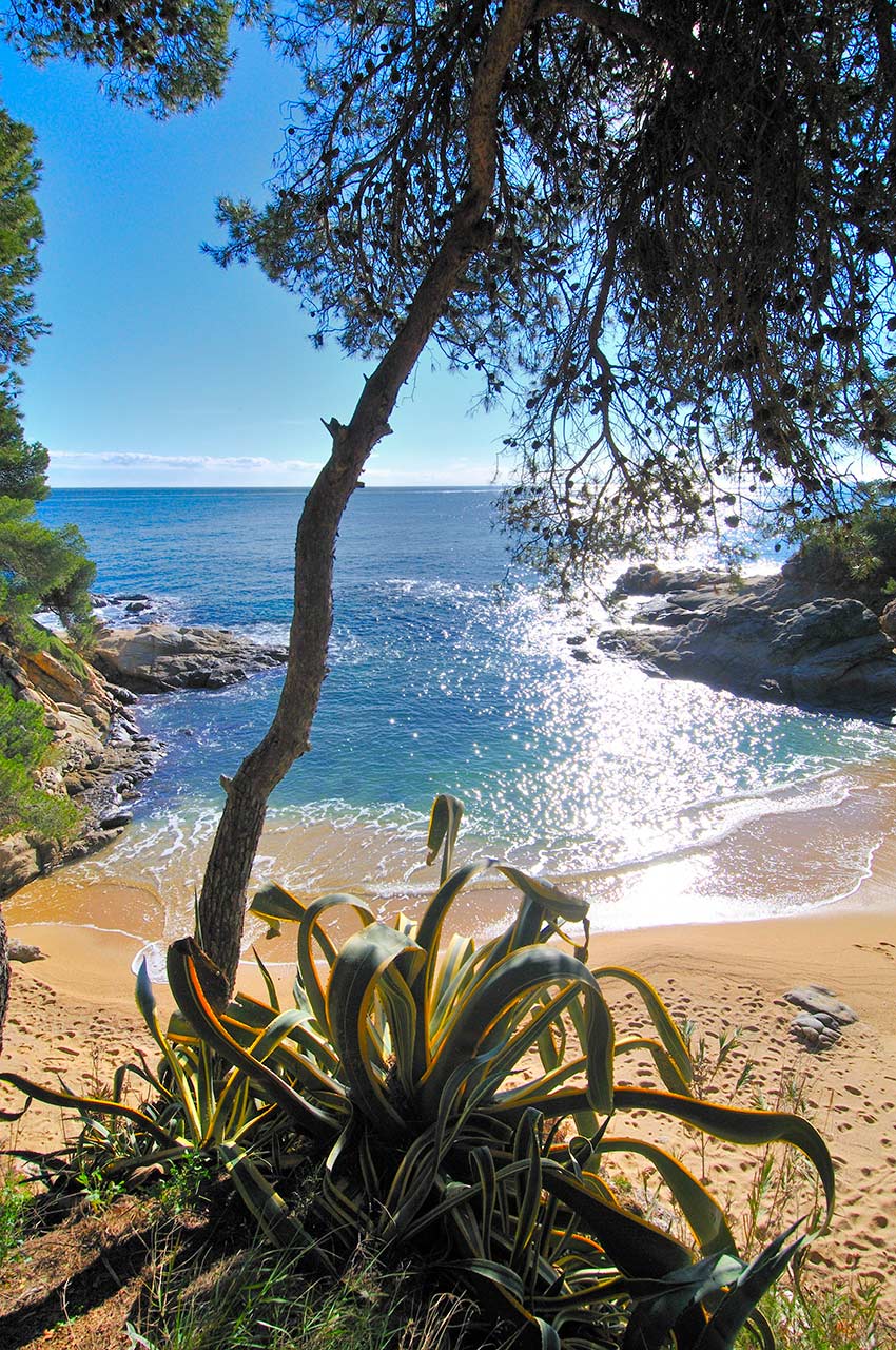 Cala en el entorno de Cap Roig