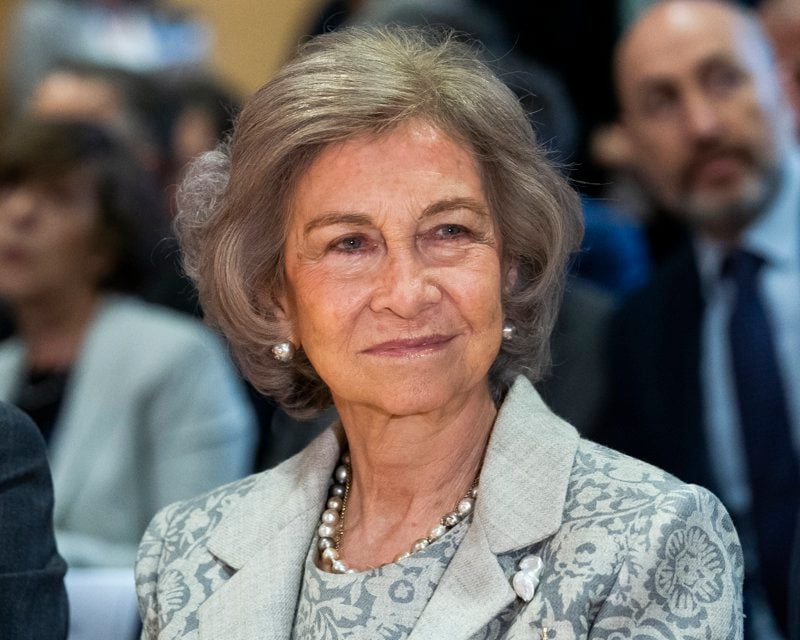 Queen Sofia Delivers Reina Sofia Foundation Scholarships To Investigate Alzheimer