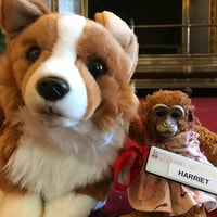 El Palacio de Buckingham devuelve juguete perdido a una niña que había pedido ayuda a la Reina Isabel