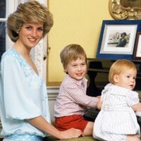 Prince William and Prince Harry reflect on Princess Diana together for the first time: ‘She was the best mum’