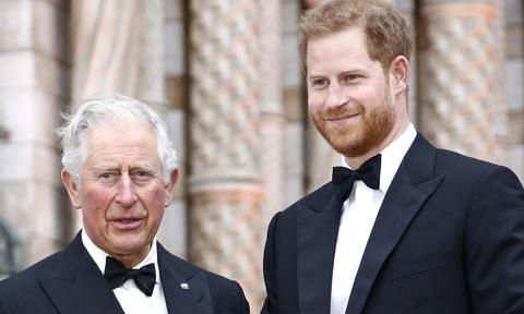 What Prince Harry had to say about visiting dad King Charles