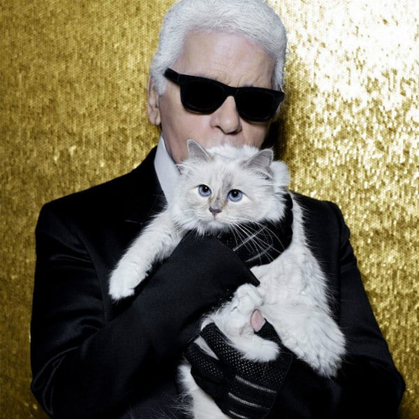 Estalla la guerra por el Instagram de Choupette, la gata de Karl Lagerfeld