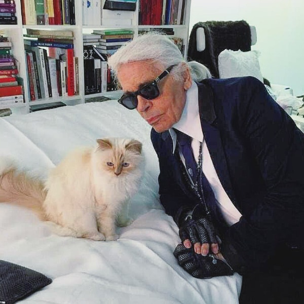 Choupette, la gata de Karl Lagerfeld, será la invitada especial a la Gala MET de este año