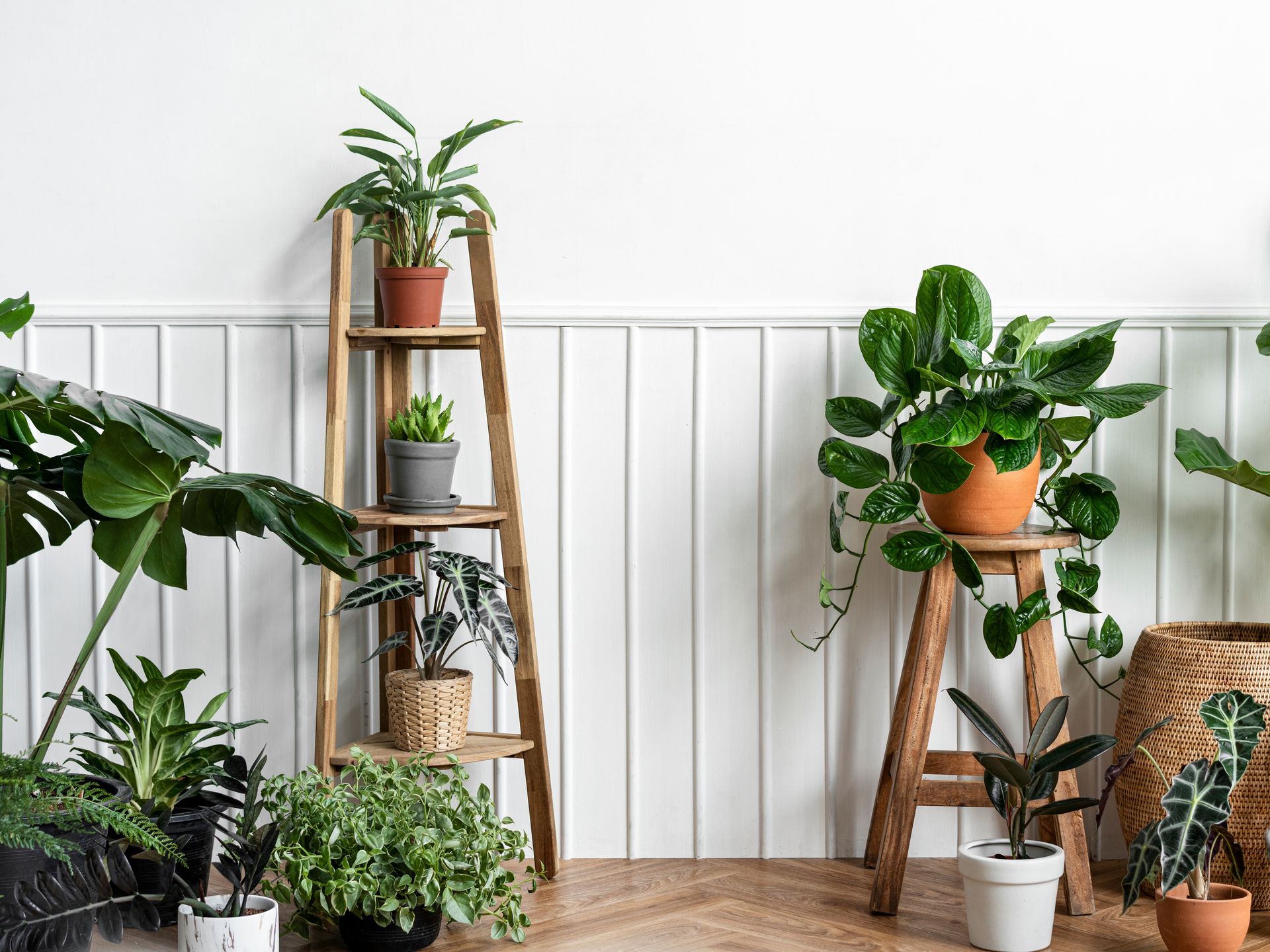 Consejos para regar tus plantas en vacaciones y no se mueran mientras estás fuera