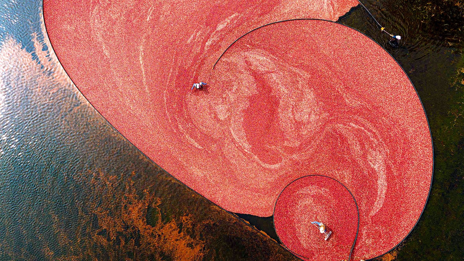 El mundo como nunca, a vista de dron: así son las imágenes más impactantes del año