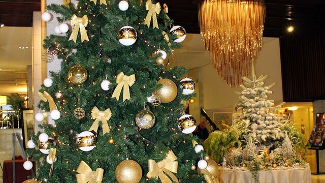 hotel miguel angel navidad