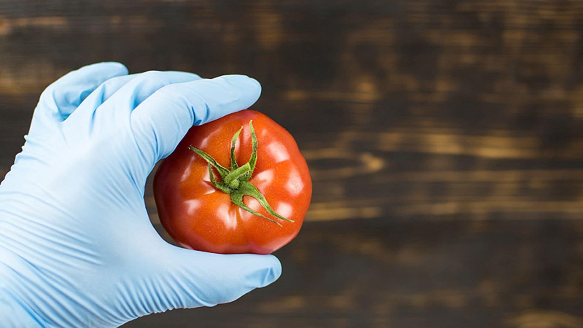 alimentos contaminacion
