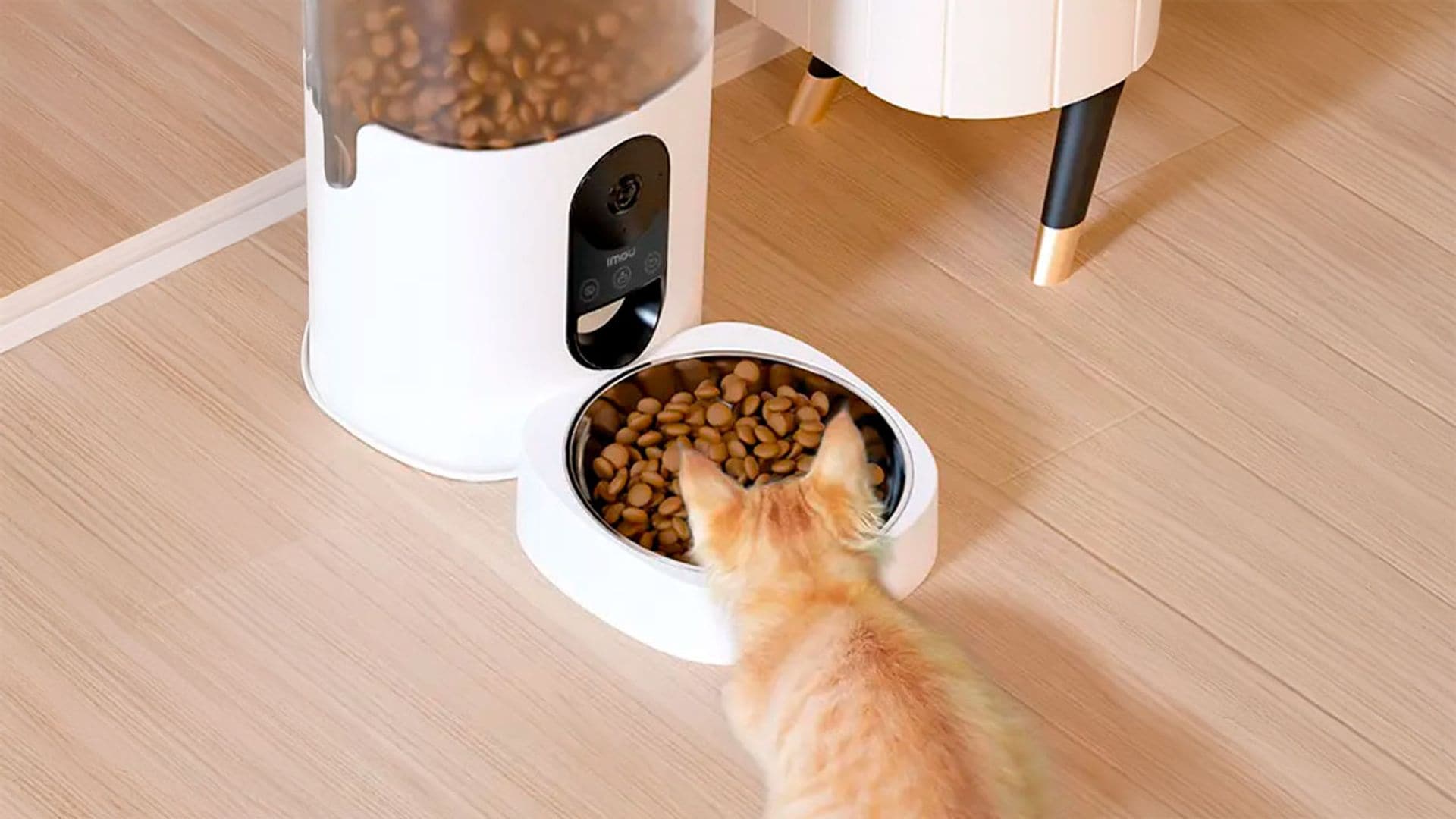 Un gato comiendo en un comedero con cámara