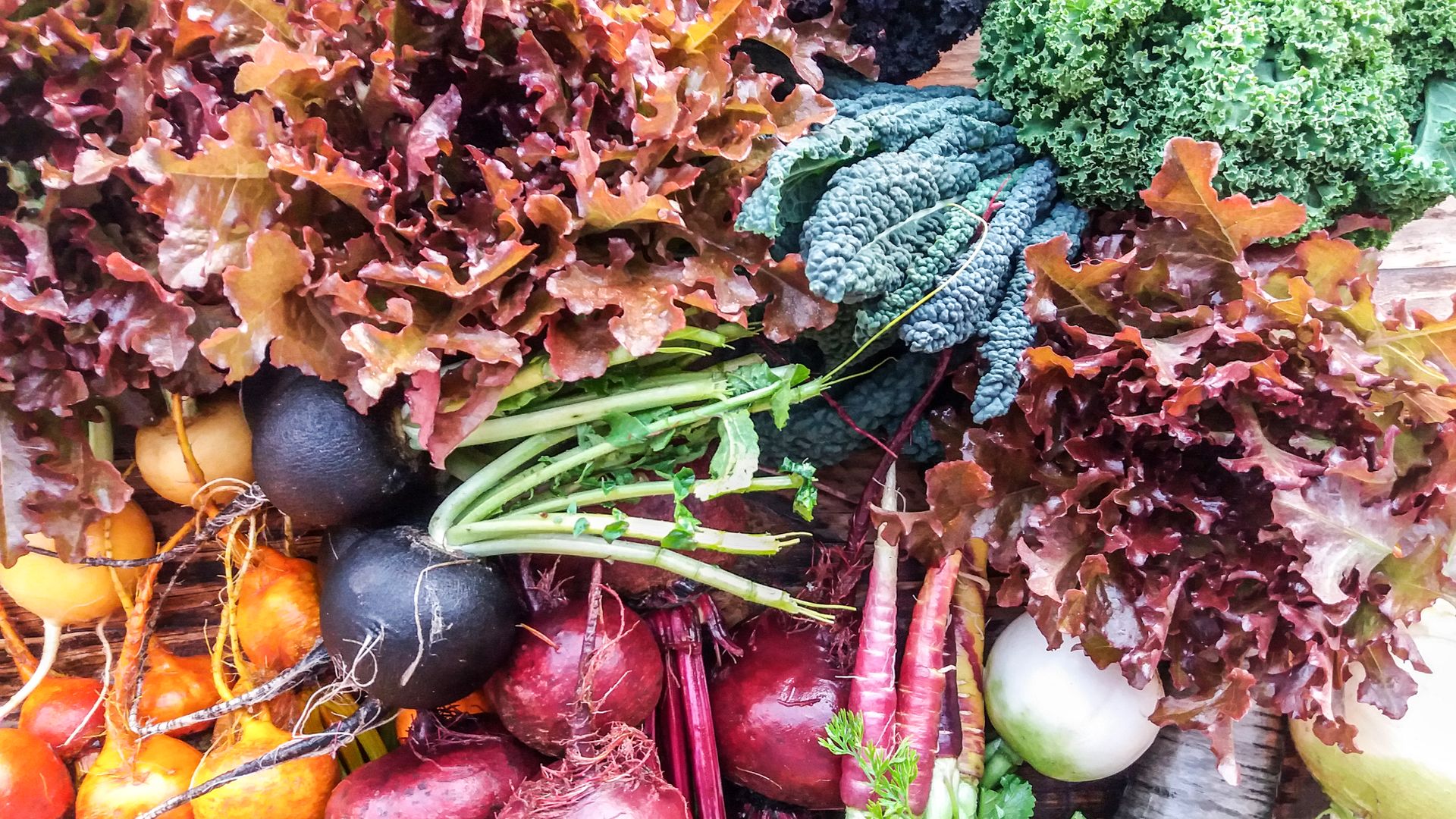Vegetales de Cultivo Desterrado