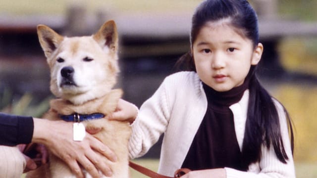 aiko 
