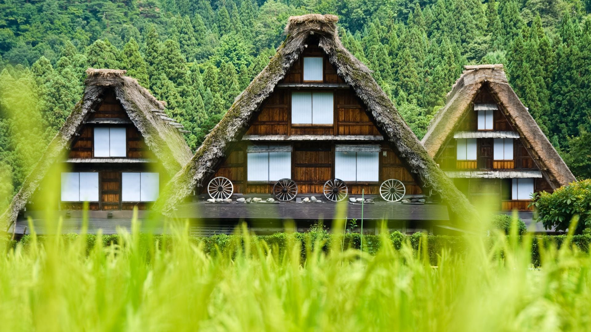 hirakawa-go, la aldea japonesa declarada Patrimonio de la Humanidad por la Unesco.