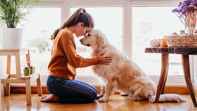 como transmitir carino a tu perro