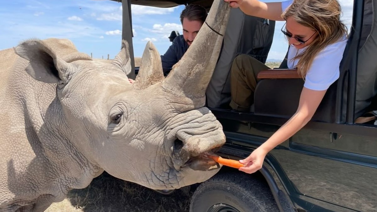 Nina Flohr y Philippos de Grecia, al más puro estilo 'Memorias de África': las impresionantes postales de su vida en Mozambique 