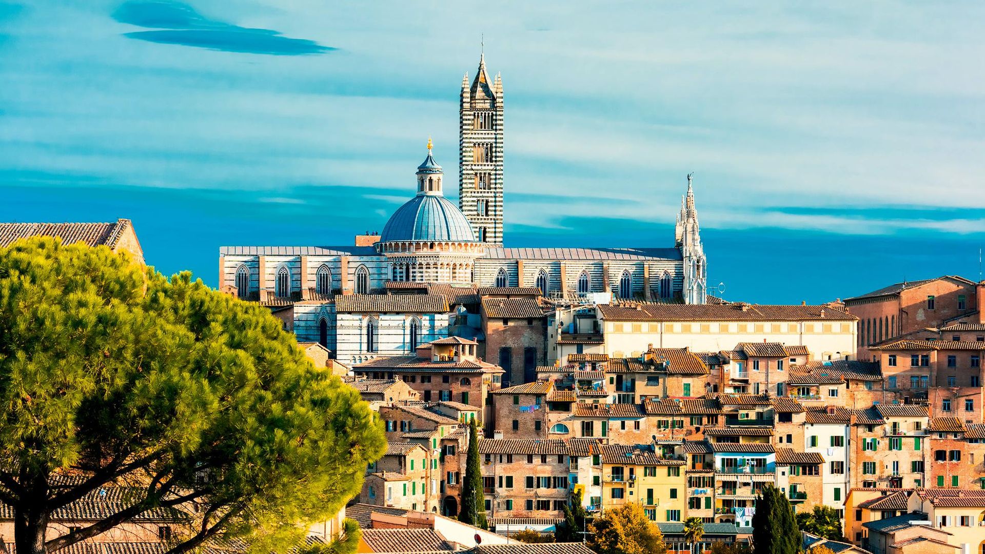 Siena (Italia): Escaparate de la Toscana