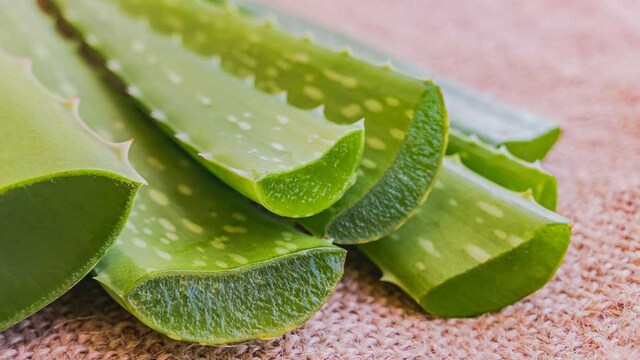 aloe