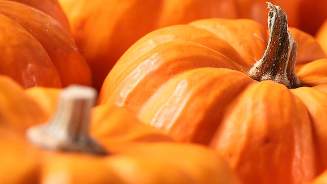 bizcocho de calabaza