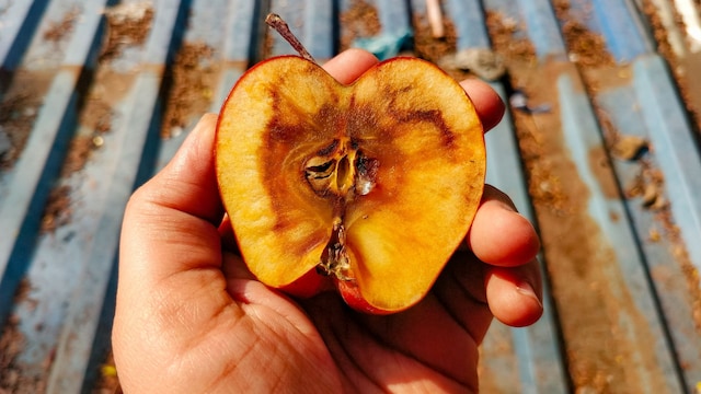 Media manzana oxidada
