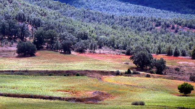 rutas guadalajara hotel rural los anades