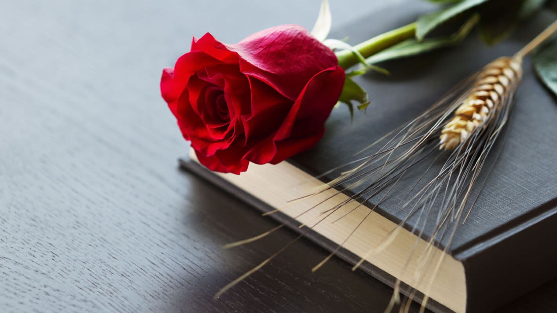 Celebra el Día del Libro con estos títulos que te ayudarán a recuperar la alegría