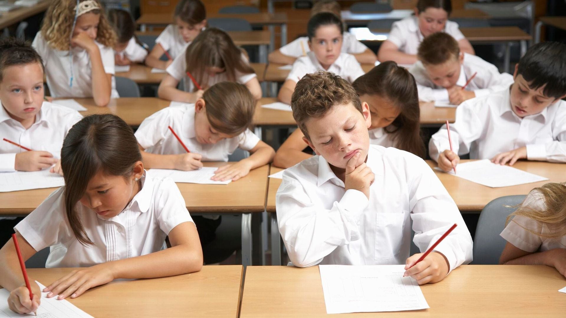 ¿Por qué ha aumentado el número de niños con necesidades de apoyo educativo?
