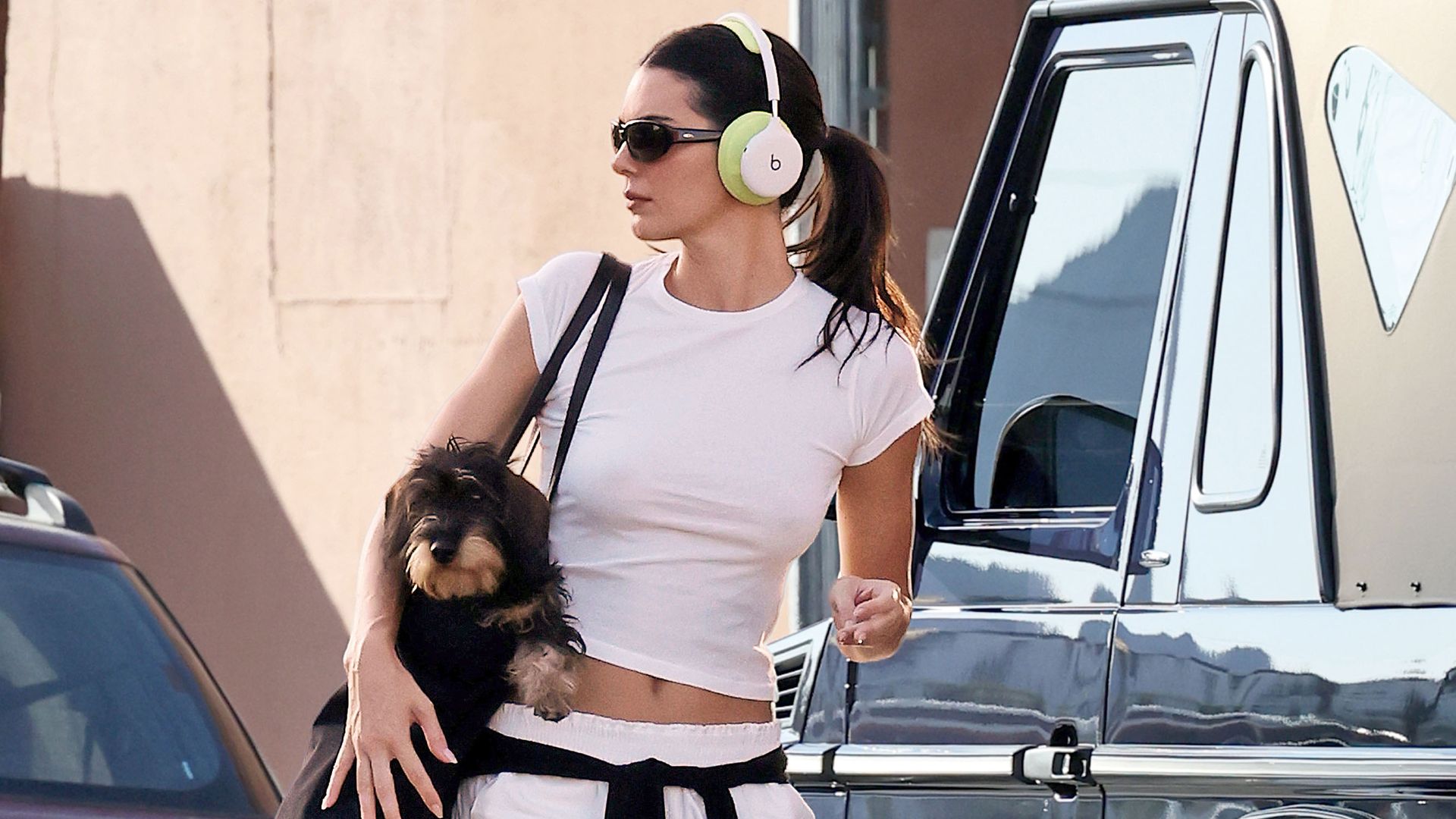 Kendall Jenner junto a Finn, su nueva mascota