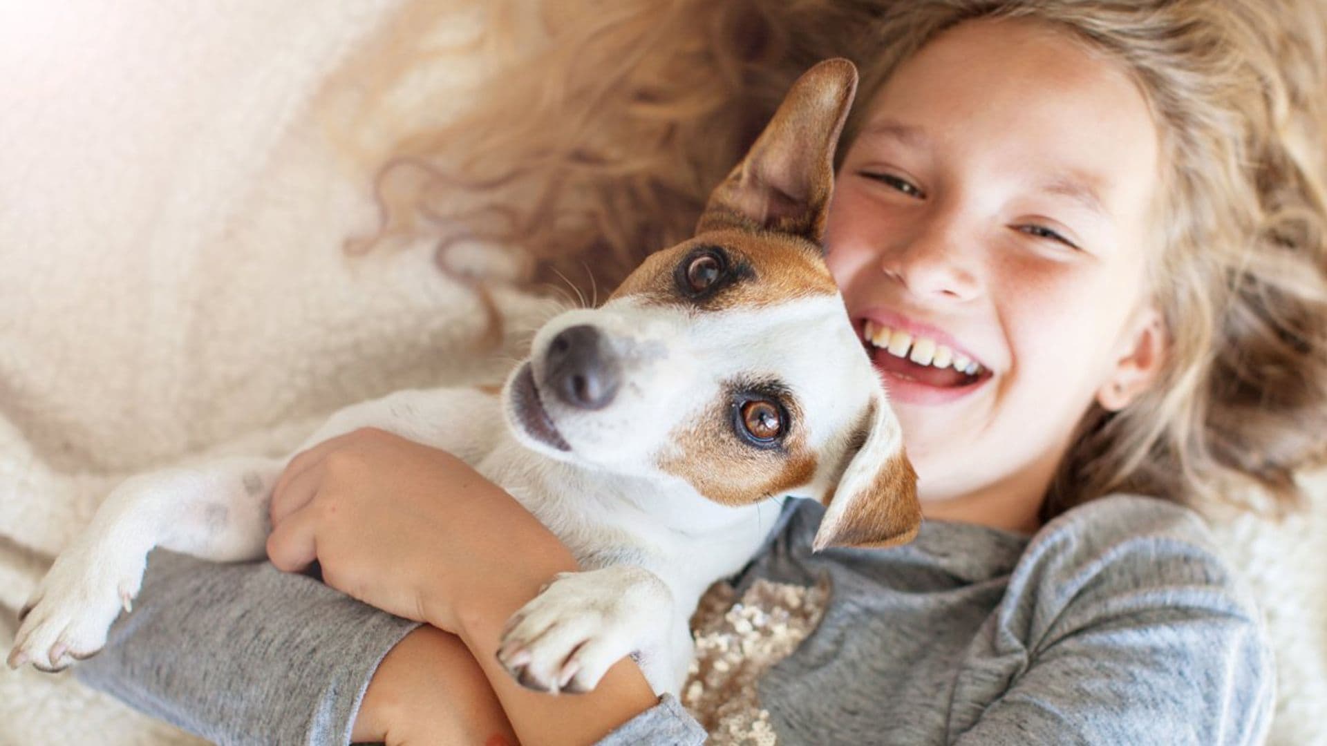 ‘¿Está mi hijo preparado para tener una mascota?’