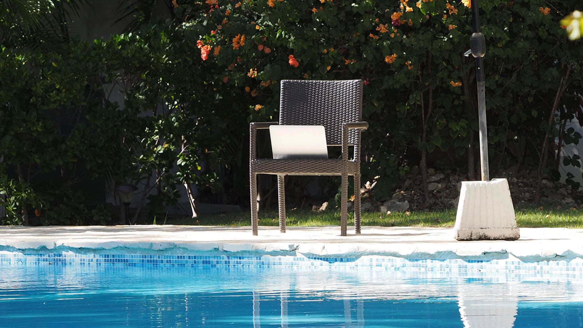 Estas son las plantas perfectas para crear un jardín en torno a la piscina