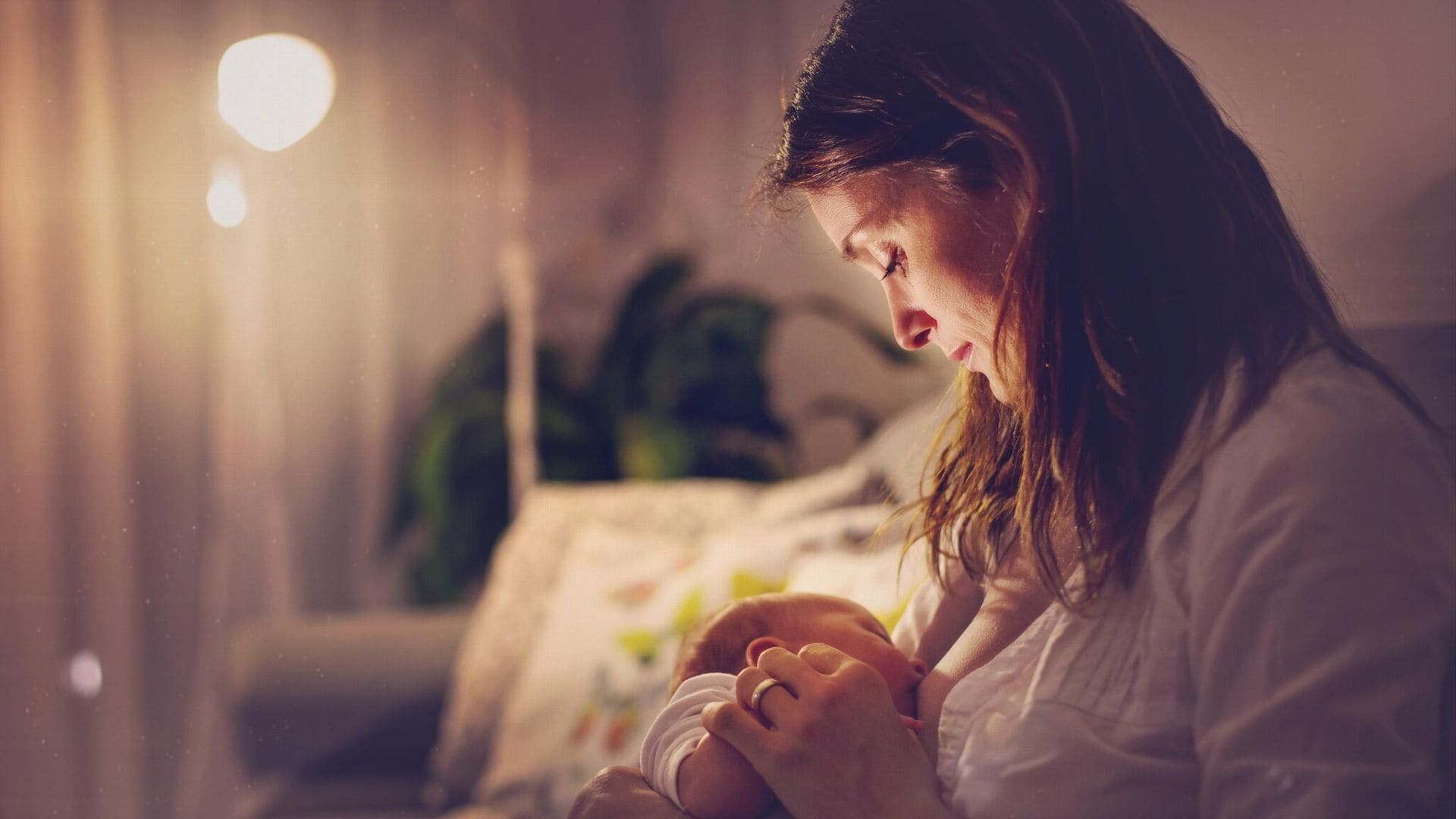 Ingurgitación mamaria, la antesala de la mastitis, ¿cómo atajarla?