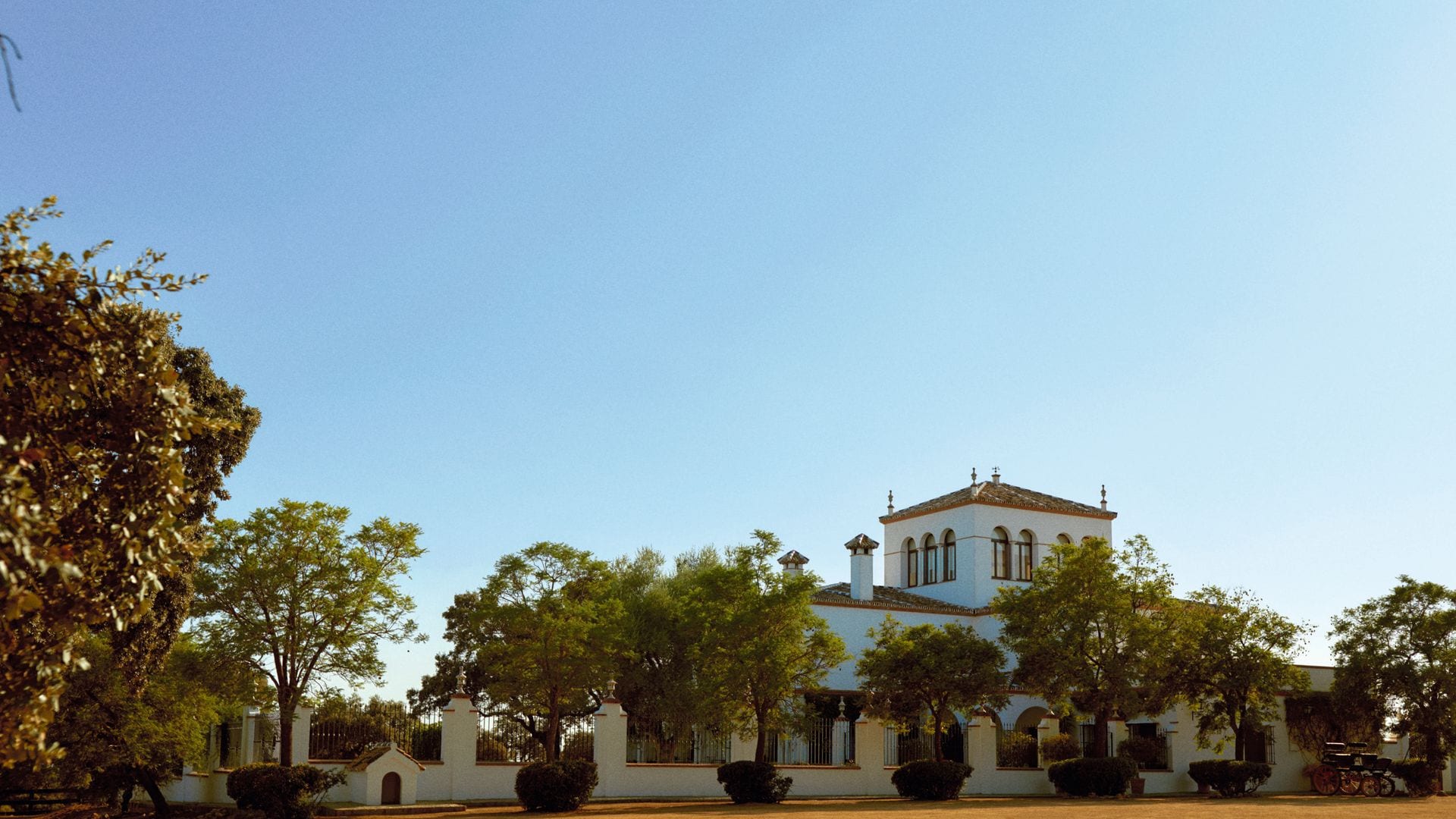 ANDRÉS ROCA REY EL DIESTRO QUE BATE RÉCORDS, REFLEXIONES CON "¡HOLA!" EN "LA CONSENTIDA", SU FINCA SEVILLANA, SOBRE LOS SUEÑOS CUMPLIDOS, LA FAMILIA Y EL AMOR 