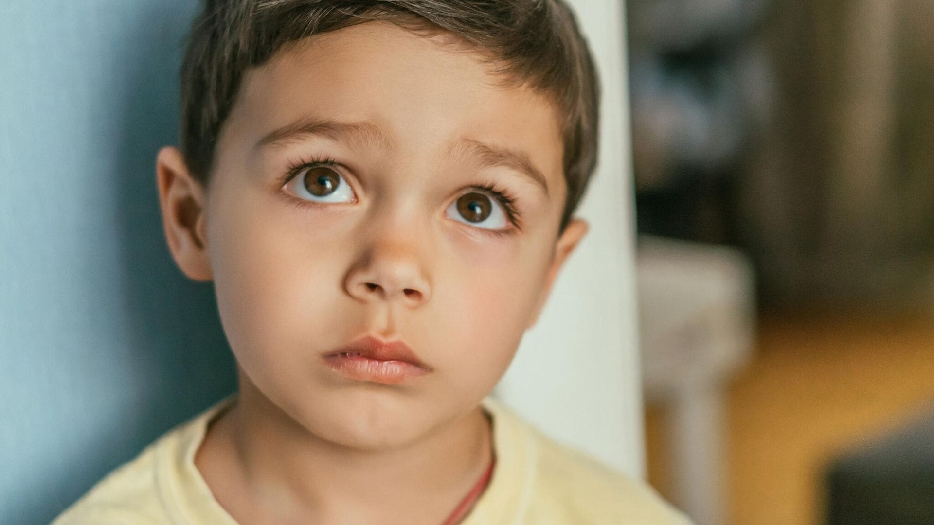 ¿Cómo podemos explicarle la muerte a un niño?